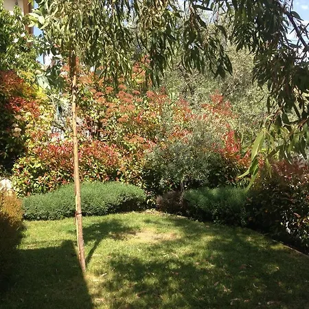 Villa 5* St Pancrace Nice